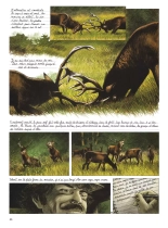 Le dernier brame : page 46