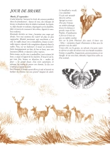 Le dernier brame : page 76