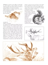 Le dernier brame : page 77
