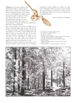 Le dernier brame : page 79