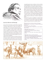 Le dernier brame : page 80