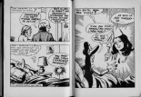 Le lardon sauteur : page 47