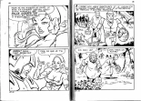 Le lièvre et la morue : page 33
