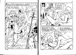 Le lièvre et la morue : page 35