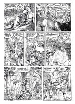 Le loup et l\'agnelle : page 13