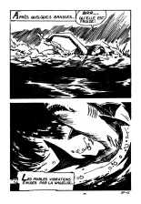 Le requin : page 17