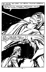 Le royaume des ombres : page 85