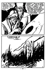 Le royaume des ombres : page 87
