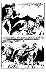 Le royaume des ombres : page 101