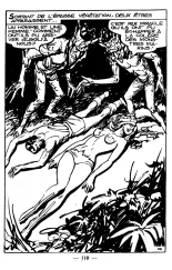 Le royaume des ombres : page 110