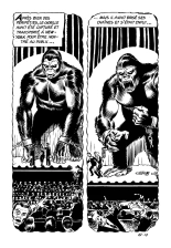Le secret de King-Kong : page 19
