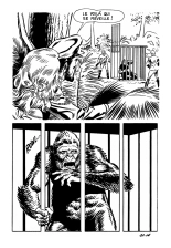Le secret de King-Kong : page 113