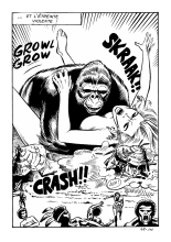 Le secret de King-Kong : page 207
