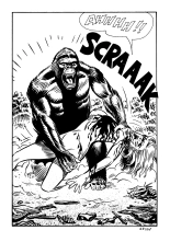 Le secret de King-Kong : page 213