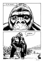 Le secret de King-Kong : page 217