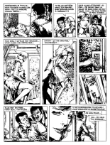 Le Tour Du Monde En 80 Jours : page 29