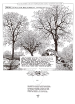 Les 110 pilules, Magnus : page 48