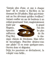 Les 110 pilules, Magnus : page 49