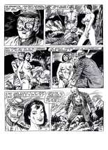 Les aventures de Duck White #3 : page 35