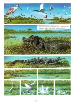 Les Aventures de Vic Voyage 05 - Brazil! : page 15