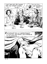 LES CORNARDS N°029 - Ne tirez pas sur le mainate : page 37