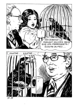 LES CORNARDS N°029 - Ne tirez pas sur le mainate : page 63