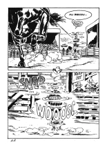 Les drolesses #11 - Singulier pluriel + Le jardinier Italien : page 13