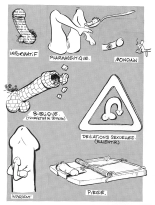 Les Fadas Du Zizi : page 37