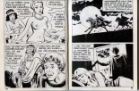 Les Nuits cruelles de Caligula : page 31