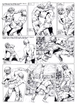 Les Vikings T2 : page 10