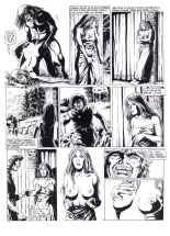 Les Vikings T2 : page 12