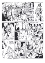 Les Vikings T2 : page 23