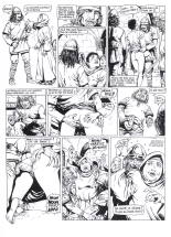 Les Vikings T2 : page 24
