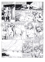 Les Vikings T2 : page 36