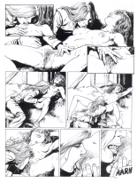 Les Vikings T2 : page 41