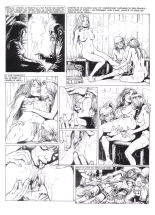 Les Vikings T2 : page 44