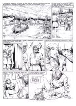 Les Vikings T2 : page 45