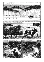 Lily Love Peacock : page 20