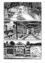 Lily Love Peacock : page 204