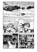 Lily Love Peacock : page 266