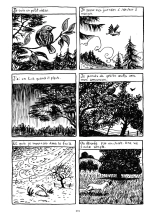 Lily Love Peacock : page 276