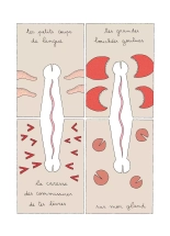 L'Odyssée du Vice : page 86