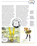 Manara Figurine Magazine - Volumes 1 to 50 : page 299