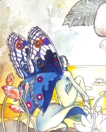 Manara Figurine Magazine - Volumes 1 to 50 : page 589