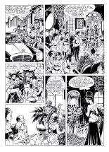 Maximo Carvajal - El Emperador : page 14