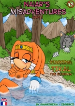 Naiar's Misadventures - Chapitre 1 - Tikal the Echidna FRANCAIS : page 1
