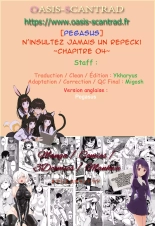 Never Insult a Repecki - N\'insultez jamais un Repecki - Ch04 : page 43