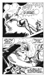 Notaire le jour, escort girl la nuit : page 15