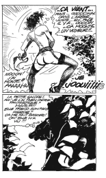 Notaire le jour, escort girl la nuit : page 26