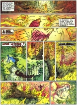 Orn - T02 - La fille et la tortue : page 43
